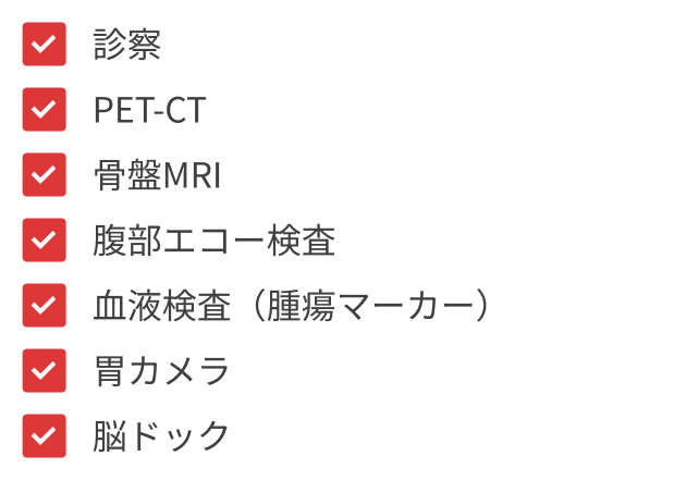 診察、PET-CT、骨盤MRI、腹部エコー検査、血液検査（腫瘍マーカー）、胃カメラ、脳ドック